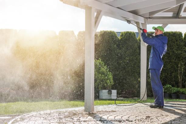 Best Concrete Surface Cleaning in Cobden, IL