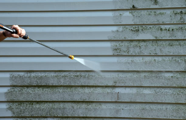 Best Vinyl Siding Pressure Washing in Cobden, IL